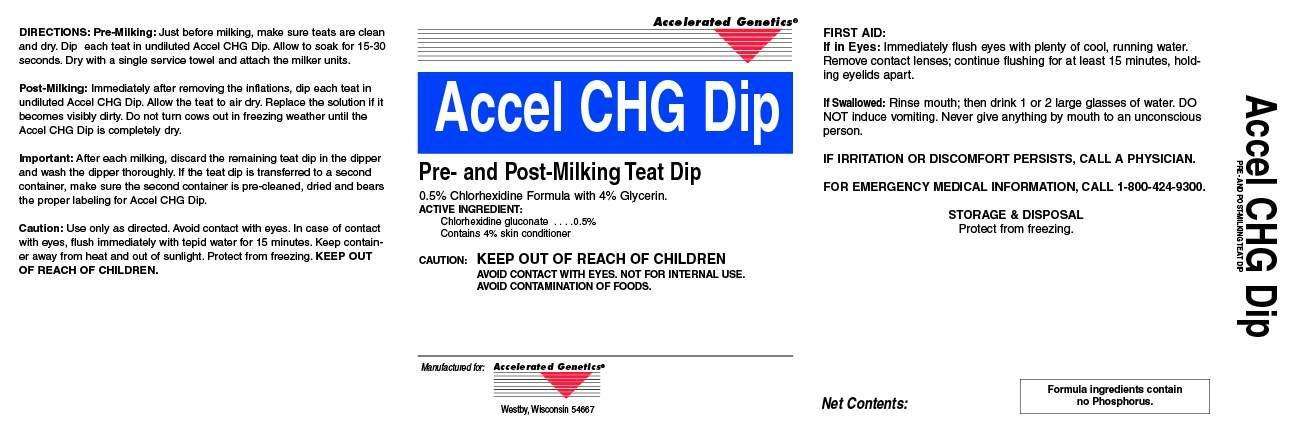 Accel CHG Dip